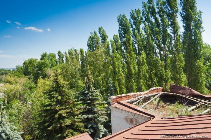 Заброшенный корпус психбольницы в Орловке