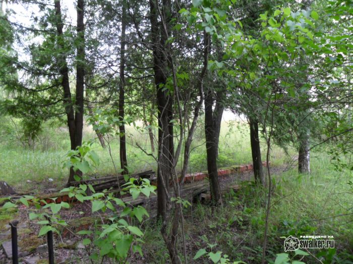 Поездка в бывший военный город Латвии Скрунда-1