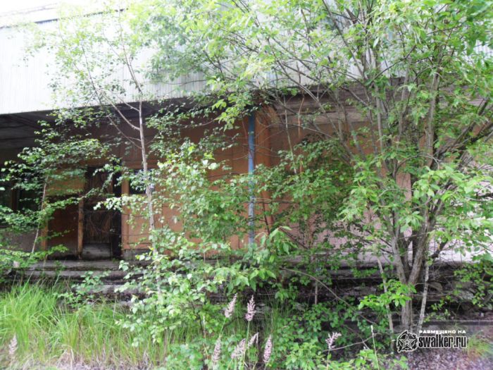 Поездка в бывший военный город Латвии Скрунда-1