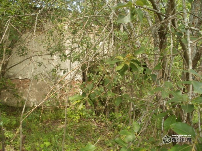 Бывшая база отдыха, Сергиев Посад