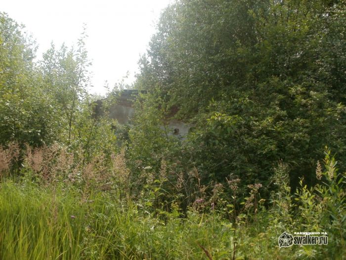 Бывшая база отдыха, Сергиев Посад