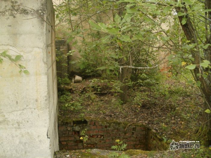 Бывшая база отдыха, Сергиев Посад