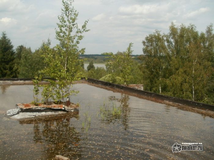 Бывшая база отдыха, Сергиев Посад