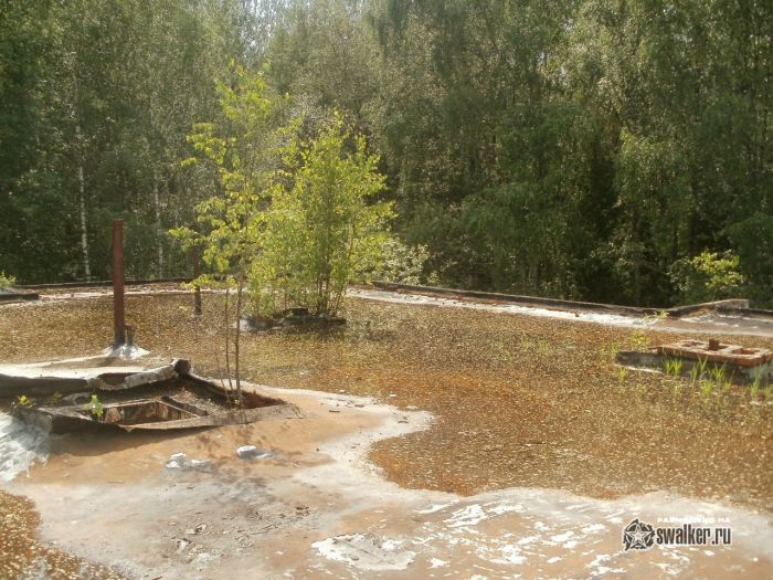 Бывшая база отдыха, Сергиев Посад