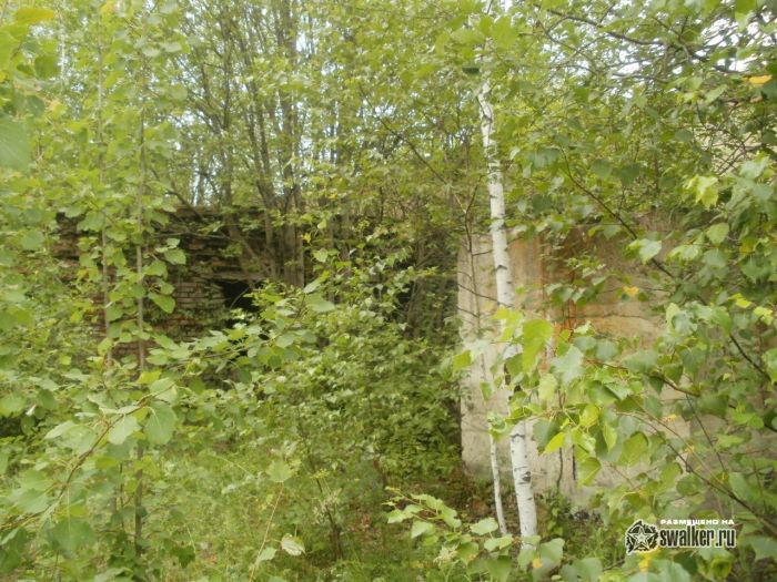 Бывшая база отдыха, Сергиев Посад