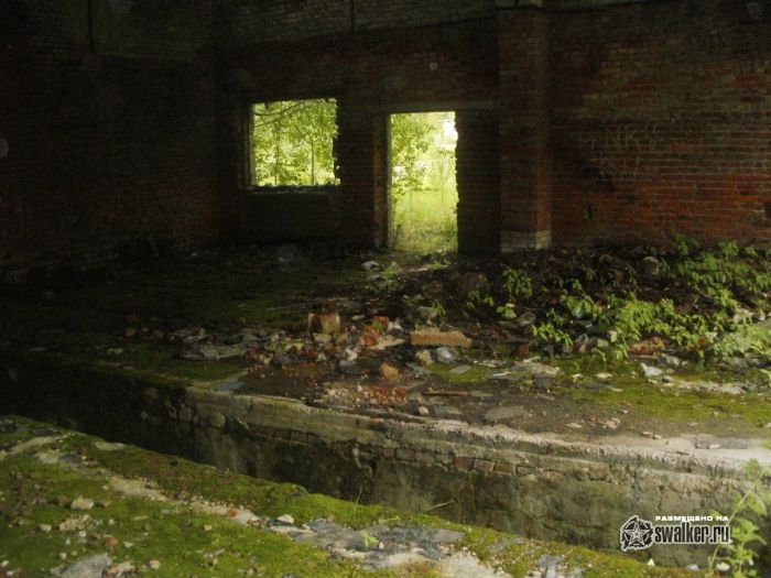 Бывшая база отдыха, Сергиев Посад