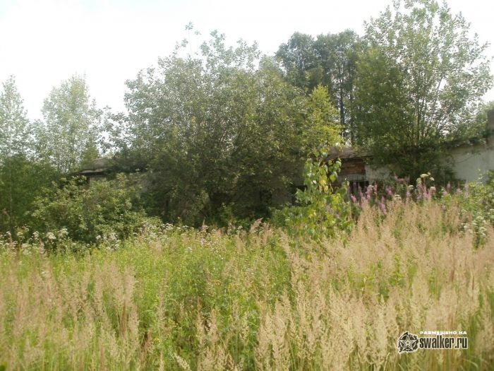 Бывшая база отдыха, Сергиев Посад