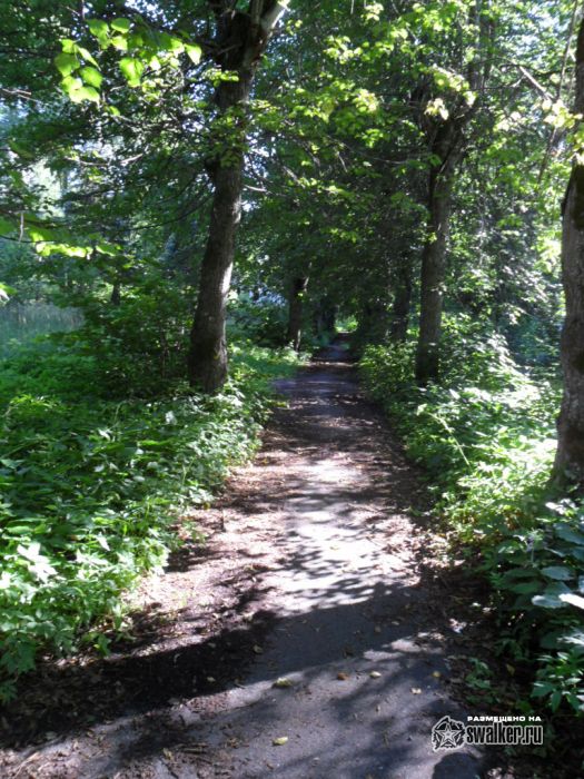 БАЛДОНЕ - бальнеологический и грязевой курорт, Латвия