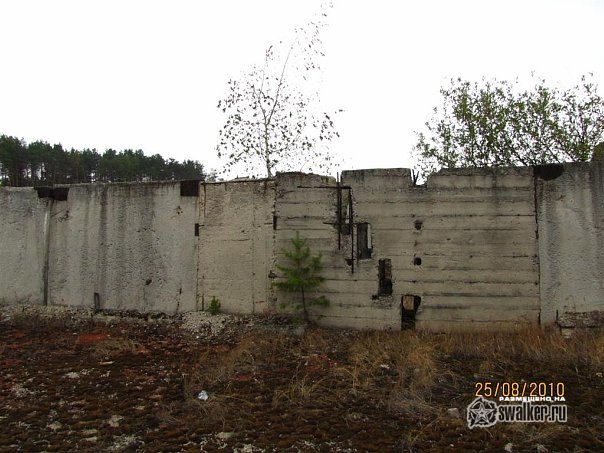 Завод по обработке картофеля Завод по обработке картофеля