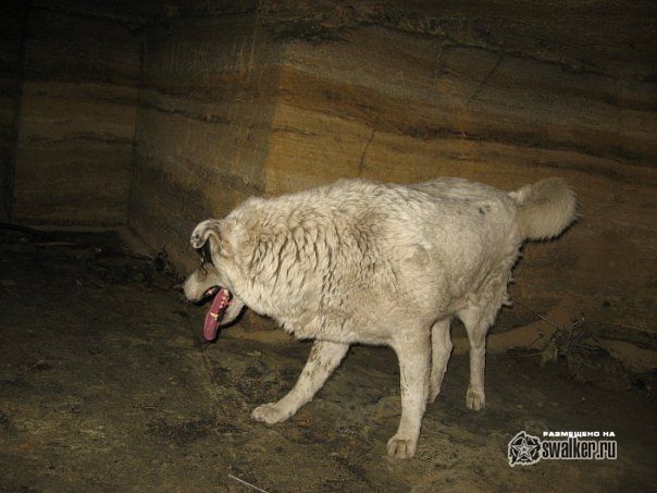 Жевахова гора, катакомбы 