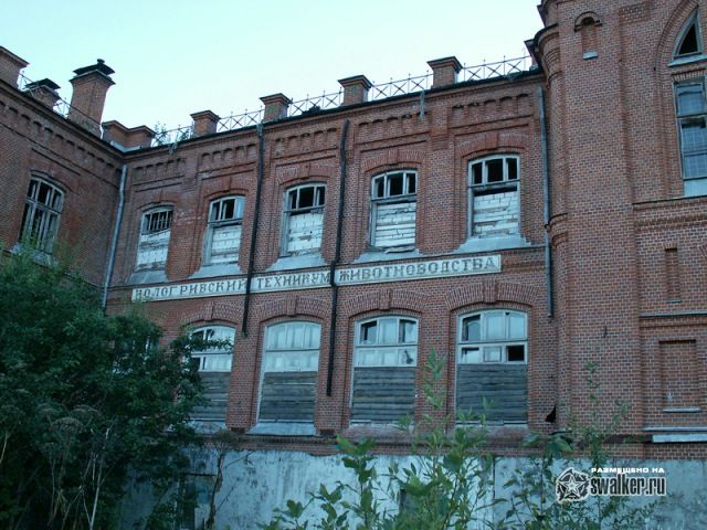 Заброшенное Чижевское училище в Екимцево Заброшенное Чижевское училище в Екимцево