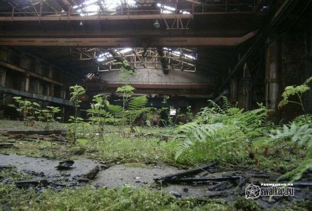 Великолукский вагоноремонтный завод, Псковская область Великолукский вагоноремонтный завод, Псковская область