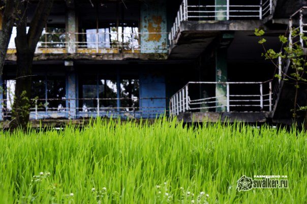 Лагерь возле Молодой Гвардии Лагерь возле Молодой Гвардии