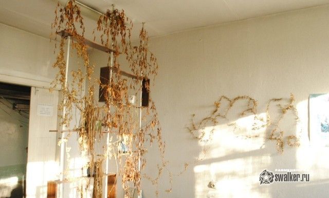 Завод Кузбасэлемент, Кемеровская область Завод Кузбасэлемент, Кемеровская область