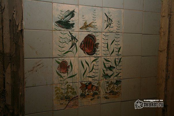 Заброшенный роддом 