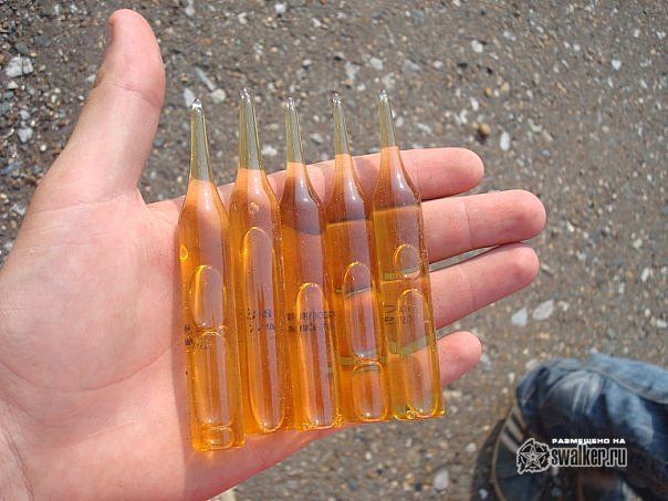 Заброшенный Откорм Совхоз