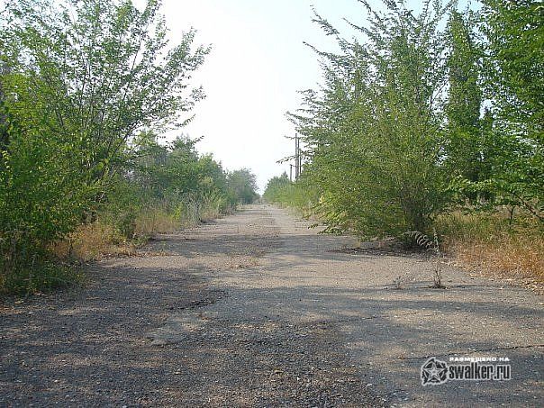 Заброшенный Откорм Совхоз