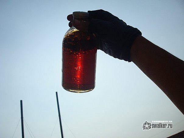 Заброшенный Откорм Совхоз