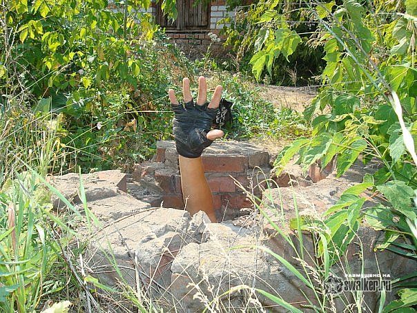 Заброшенный Откорм Совхоз