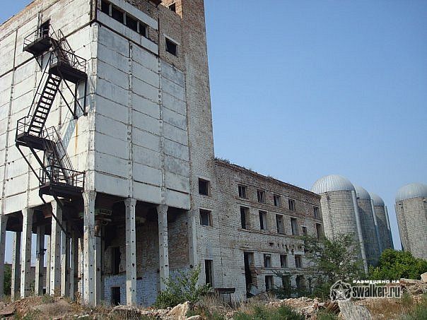 Заброшенный Откорм Совхоз