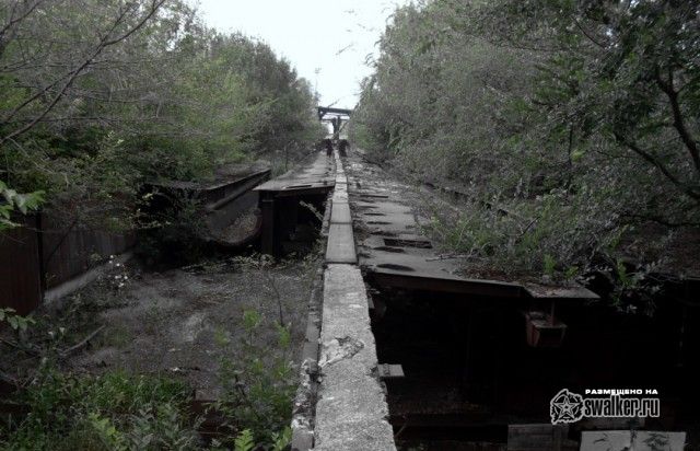 Территория отстойника ТЭЦ-2, Ростов-на-Дону Территория отстойника ТЭЦ-2, Ростов-на-Дону