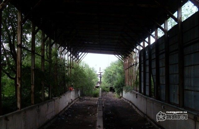 Территория отстойника ТЭЦ-2, Ростов-на-Дону Территория отстойника ТЭЦ-2, Ростов-на-Дону