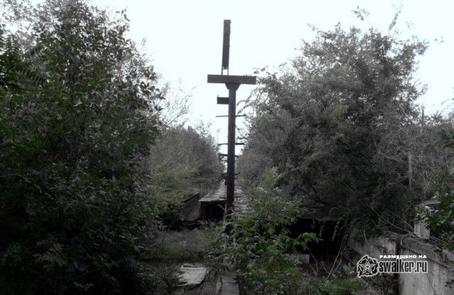 Территория отстойника ТЭЦ-2, Ростов-на-Дону Территория отстойника ТЭЦ-2, Ростов-на-Дону