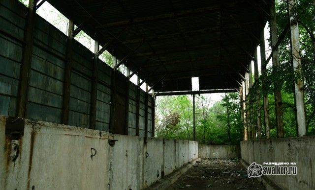 Территория отстойника ТЭЦ-2, Ростов-на-Дону Территория отстойника ТЭЦ-2, Ростов-на-Дону