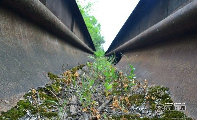 Территория отстойника ТЭЦ-2, Ростов-на-Дону Территория отстойника ТЭЦ-2, Ростов-на-Дону