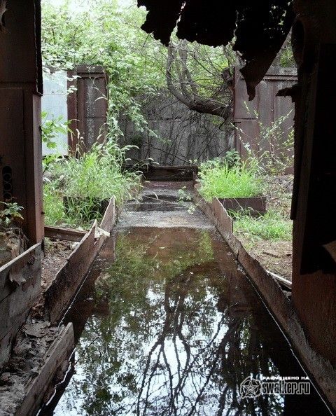 Территория отстойника ТЭЦ-2, Ростов-на-Дону Территория отстойника ТЭЦ-2, Ростов-на-Дону