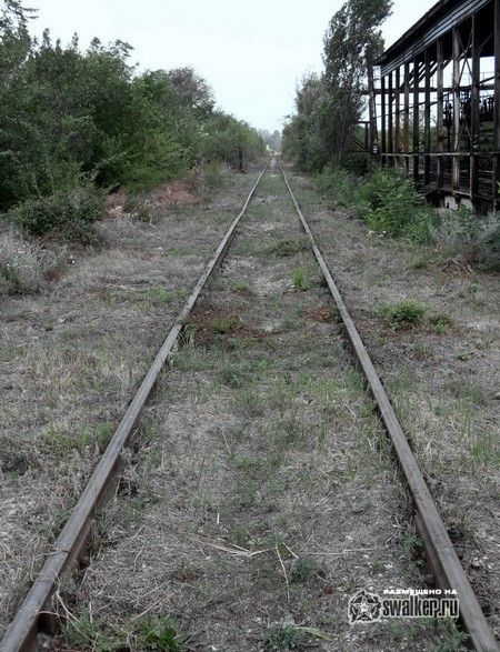 Территория отстойника ТЭЦ-2, Ростов-на-Дону Территория отстойника ТЭЦ-2, Ростов-на-Дону