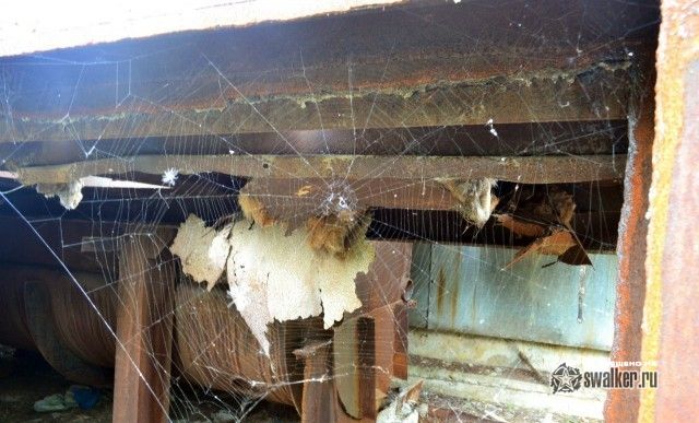 Территория отстойника ТЭЦ-2, Ростов-на-Дону Территория отстойника ТЭЦ-2, Ростов-на-Дону