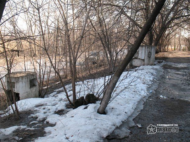 Коллекция ВШ, Удмуртия Коллекция ВШ, Удмуртия