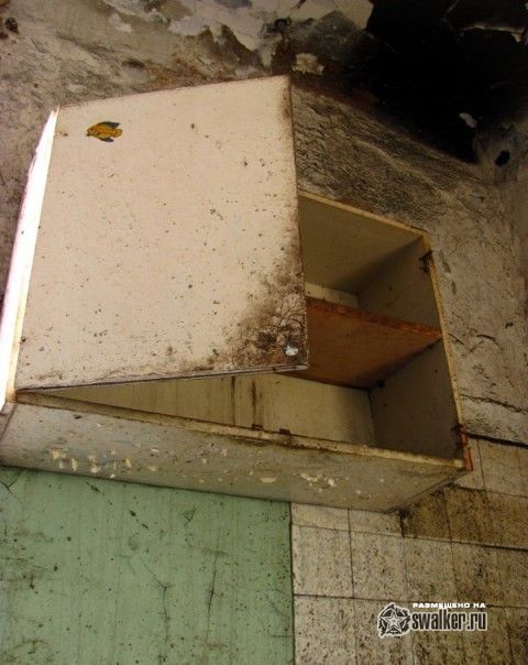 Фабричный посёлок, Ленинградская область