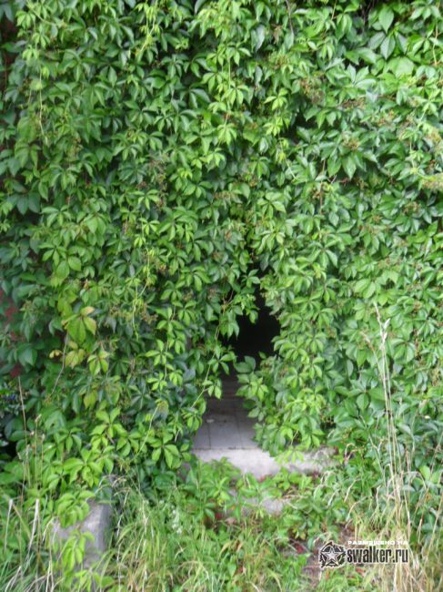 Бывший Детский садик Залениеки, Латвия