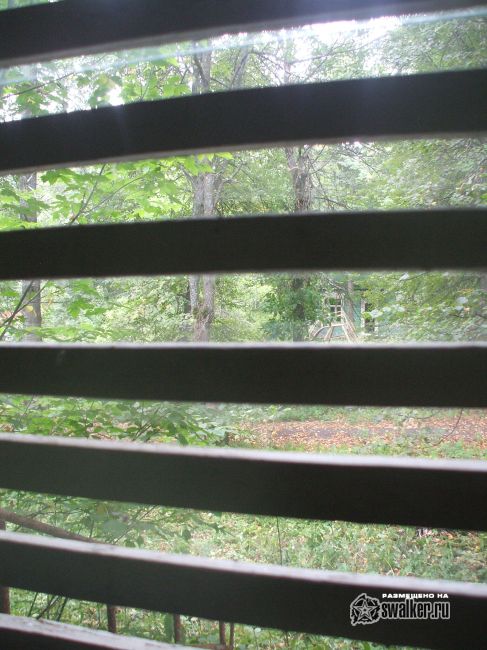 Заброшенный лагерь, Московская область