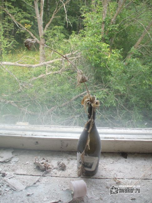 Заброшенный лагерь, Московская область