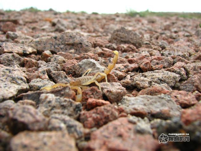 Аэродром Балхаш