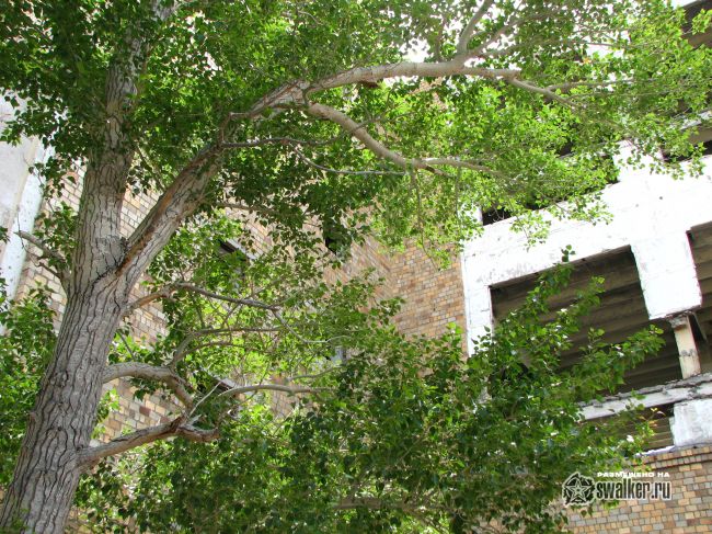 Дунай-3УП, Неман, Дон-2НП