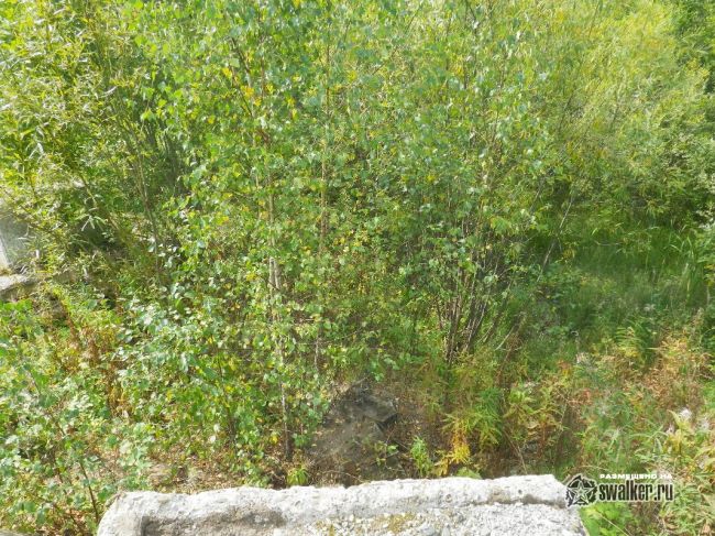 Заброшенная БСП-1 721 ракетного полка 52 ракетной дивизии