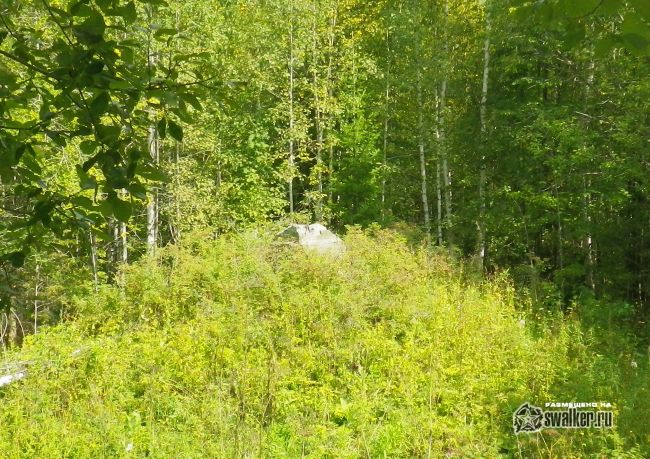 Заброшенная БСП-1 721 ракетного полка 52 ракетной дивизии