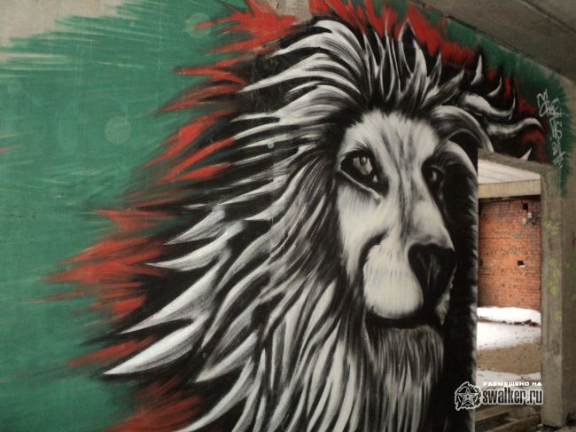 Недостроенная психиатрическая больница (Версия 2), Московская область