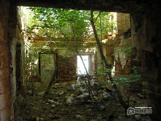 Дворец Топорниных