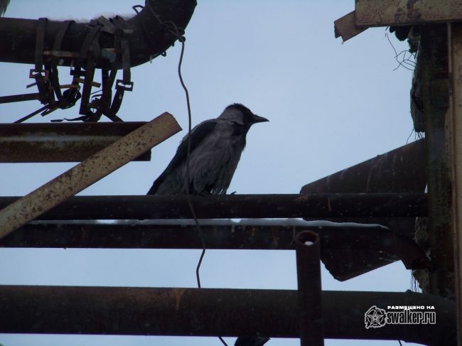 Руины Химпрома