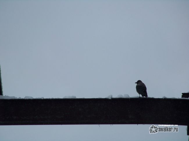 Руины Химпрома