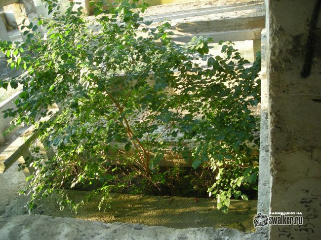 Недостроенное здание