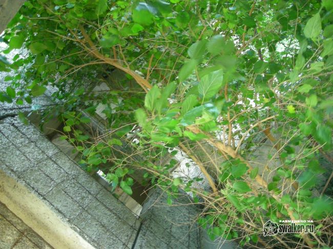 Недостроенное здание