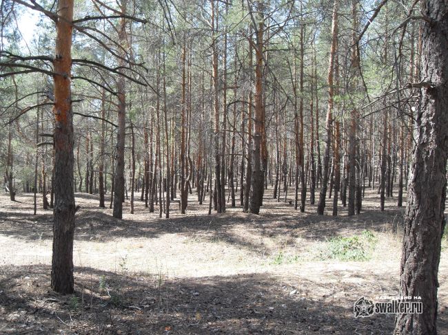 ХУТОР, Ростовская область