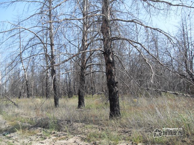ХУТОР, Ростовская область