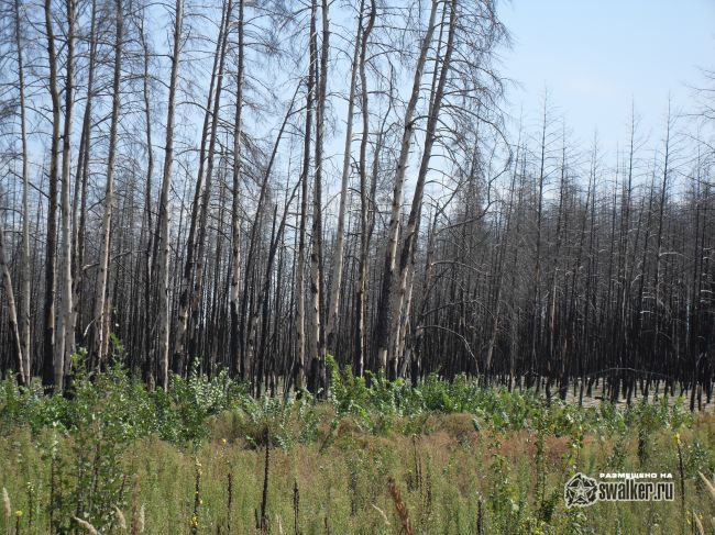 ХУТОР, Ростовская область